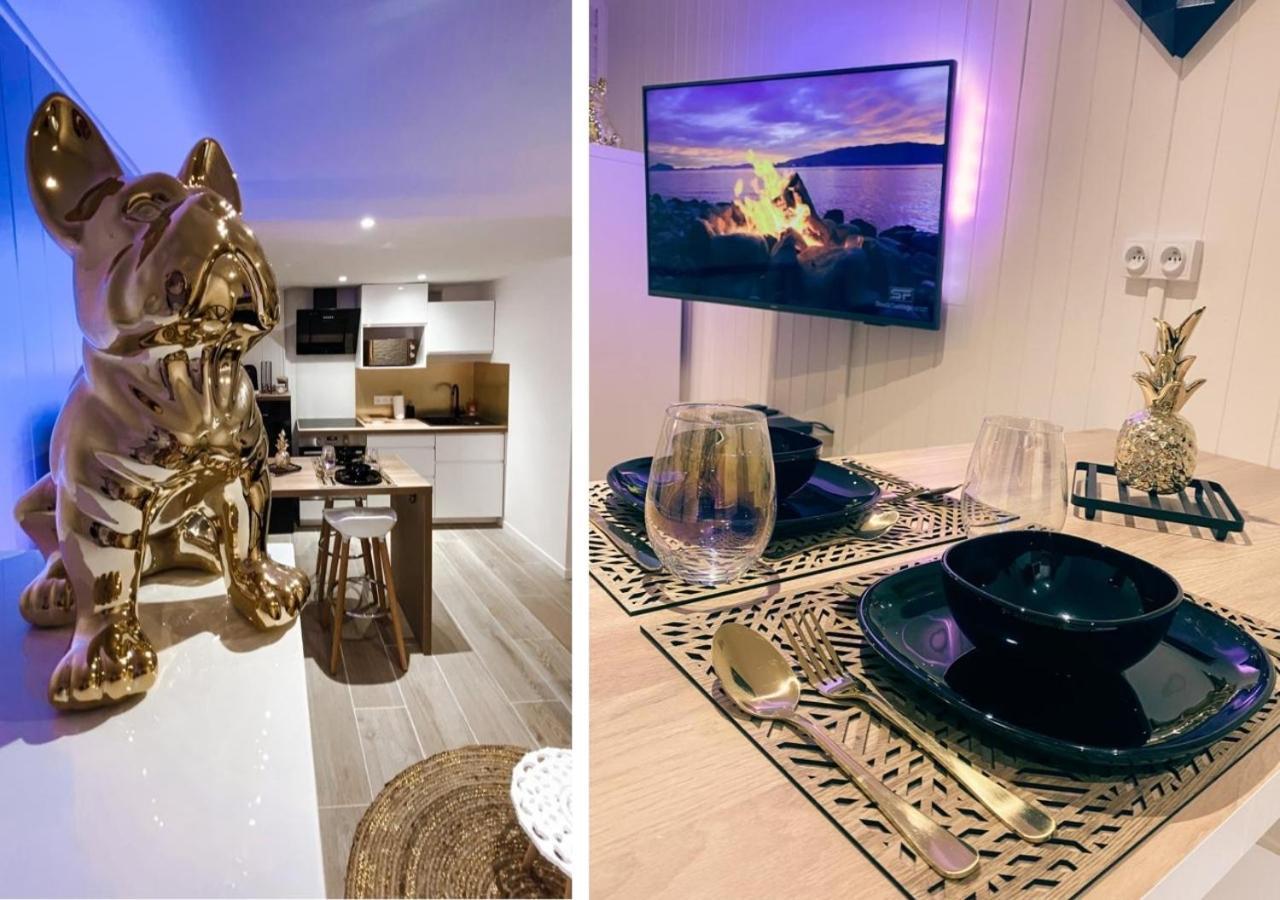 Appartement Le Cocon Dore, Hyper Centre De Toulouse
