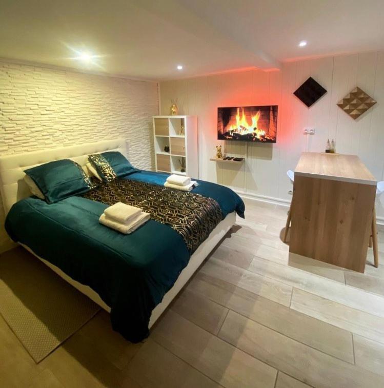Appartement Le Cocon Dore, Hyper Centre De Toulouse